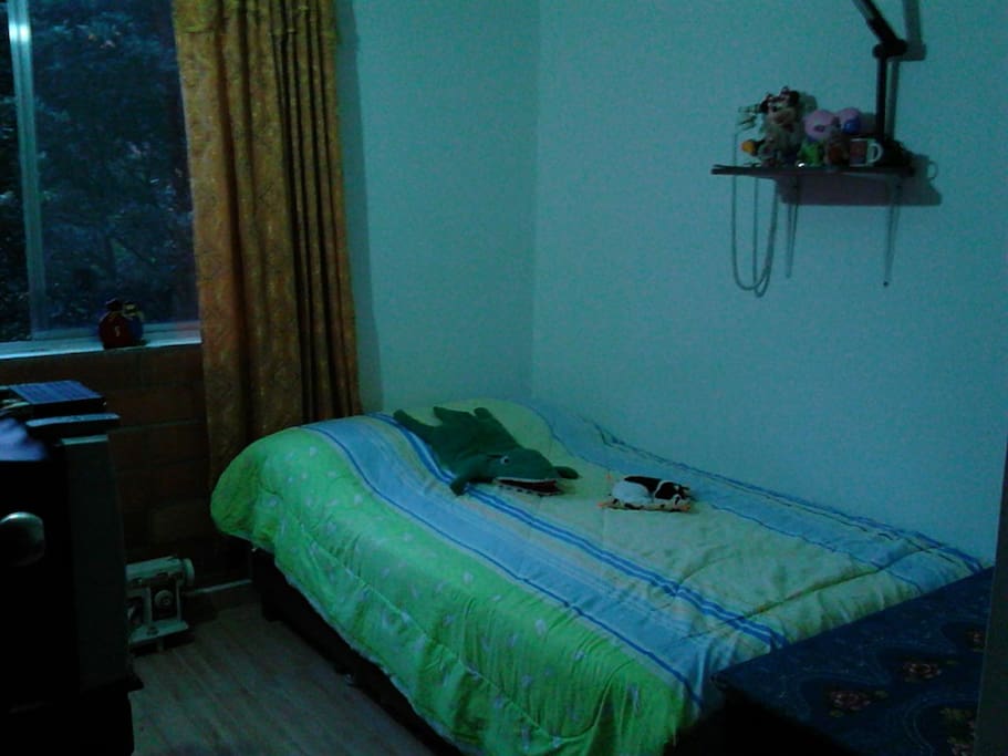 habitación limpia, amplia, colchón ortopédico excelente calidad, tv cable, decodificador, buena iluminación, perchero y cajón para la ropa.