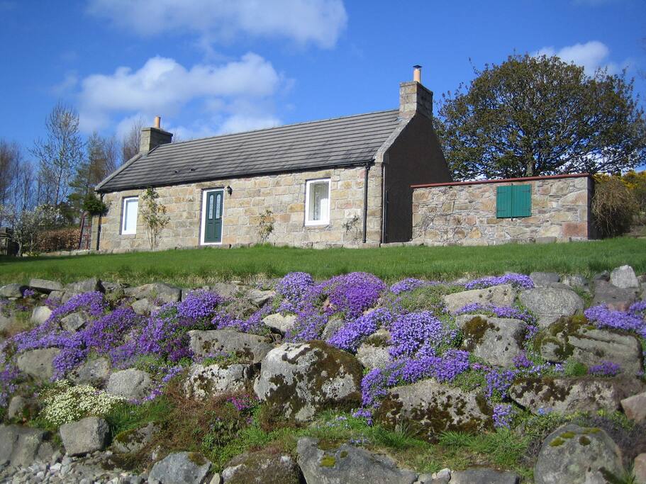 Cottage in Spring