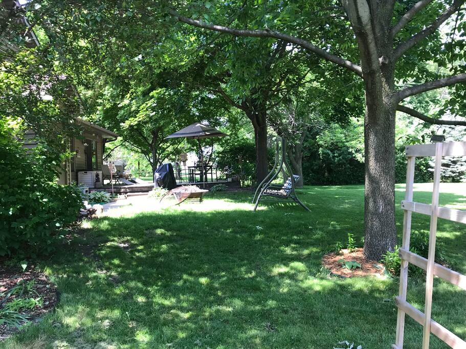 Backyard