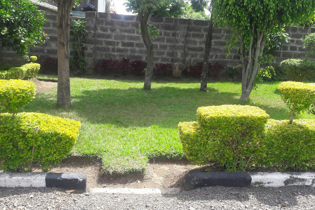 Manicured garden for relaxing