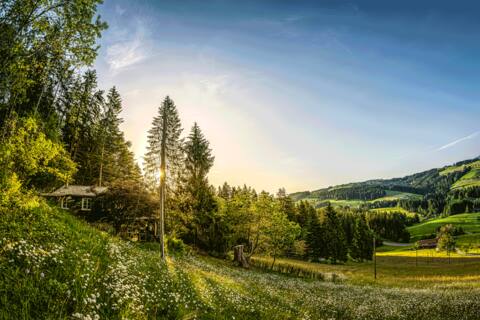 Tiny House in midst of nature & with mountain view