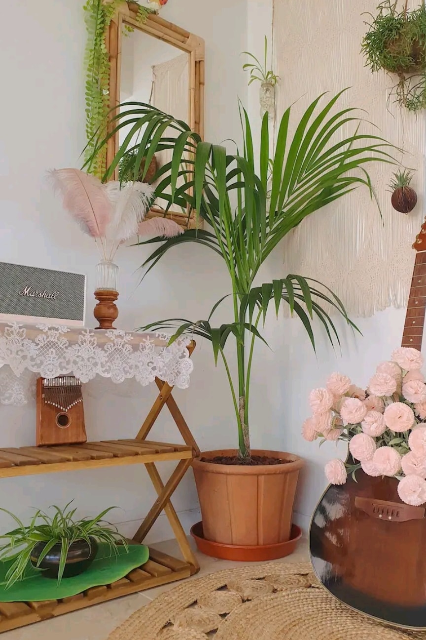 A potted palm stands in a corner, adding a touch of greenery. A wooden table draped with lace features a vintage speaker and decorative items. A brown guitar leans against the wall, accompanied by a bouquet of pink flowers on the floor.