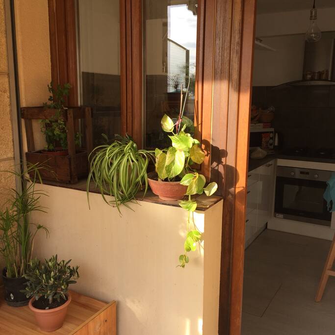 La cuisine vue de l’extérieur