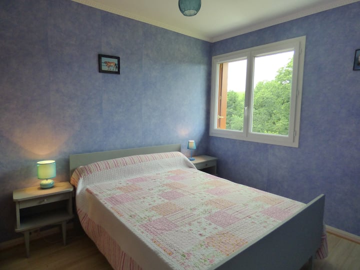 "ცისფერი" ნომერი საწოლით 140