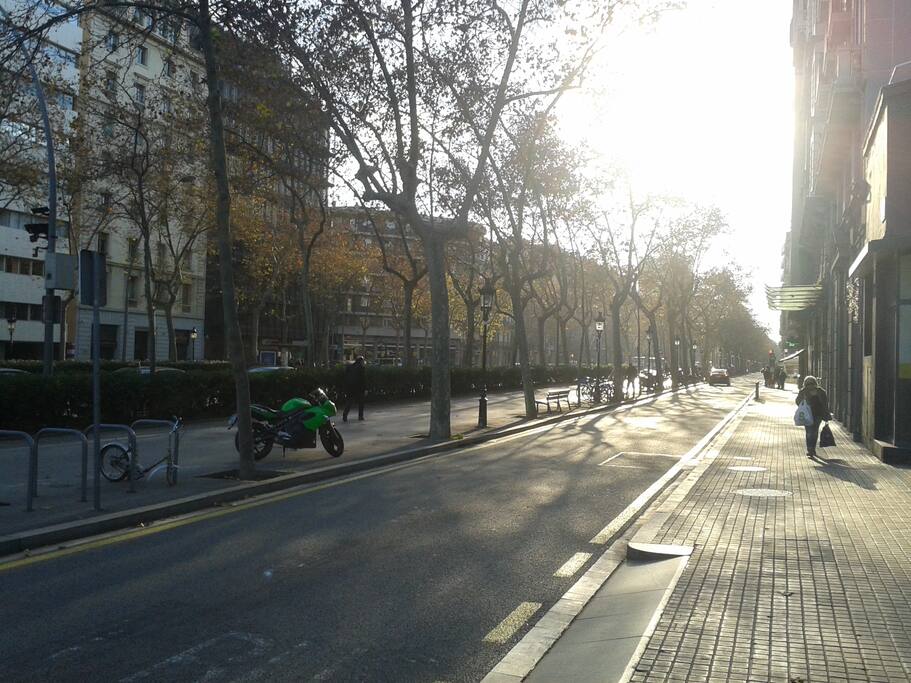 Gran via a 100m.