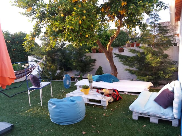 Casa Rustica na Chamusca c/piscina