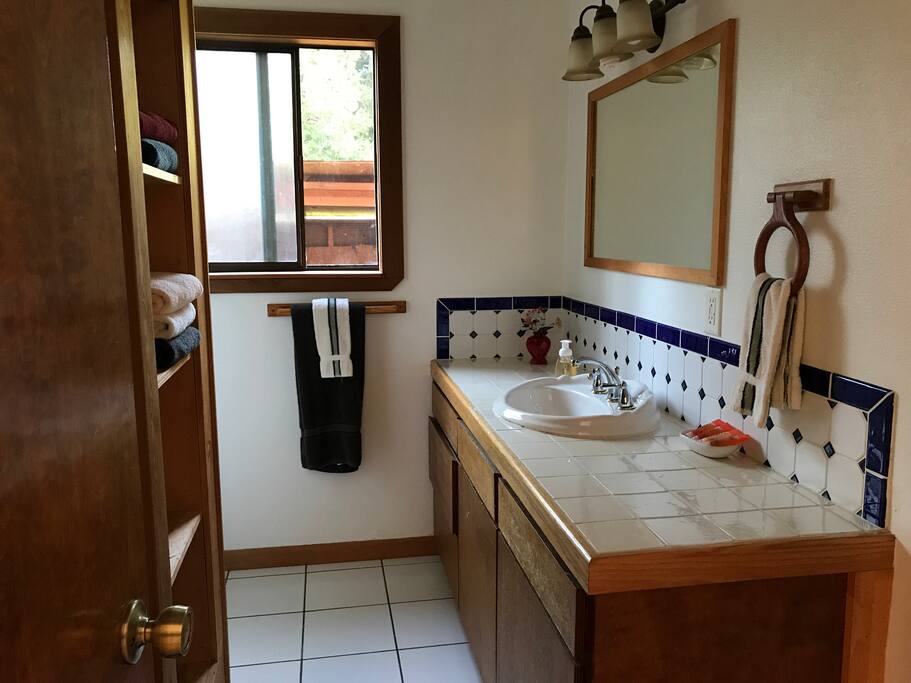 Down Stairs Bathroom with shower, next to the downstairs bedroom