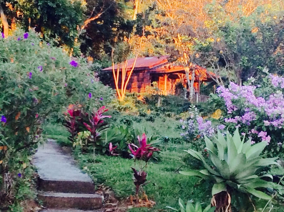 The cabaña in the middle of our tropical gardens