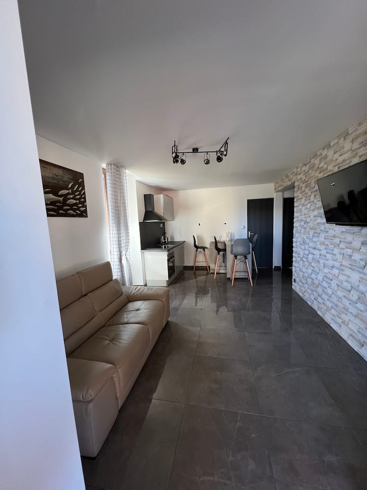Appartement T3  Portes De Annecy  Sauna - Annecy