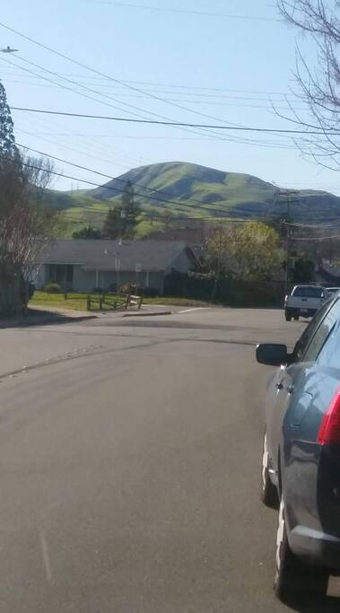 Surrounding neighborhood. Very suburban safe. Lots of shopping and malls nearby. Less than 10 miles from Premium Outlet of San Francisco in Livermore wineries and more