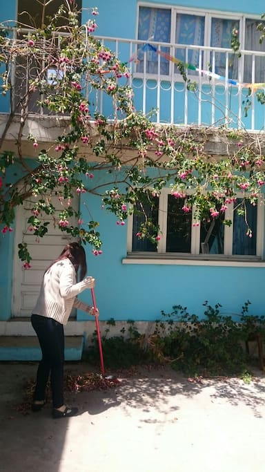 Patio