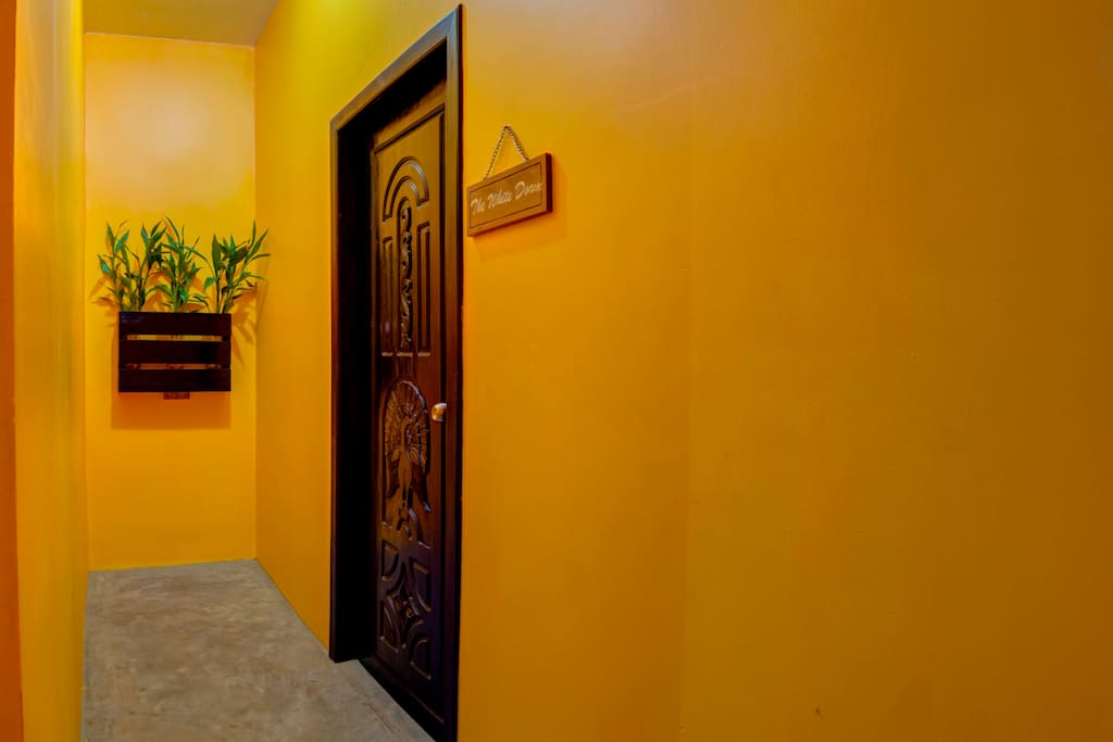 corridor at The Luxury Concept Hostel