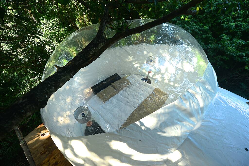 TOP VIEW OF THE BUBBLE TENT