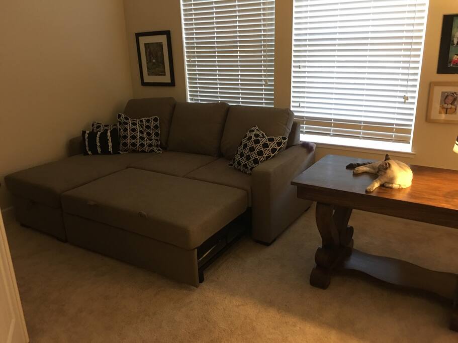 Downstairs Bedroom #4/ Den pull out bed and TV with Cable