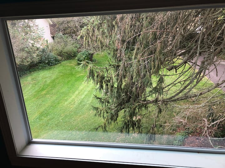 8 Best Airbnb Vacation Rentals In Homer, New York Updated 2024 Trip101