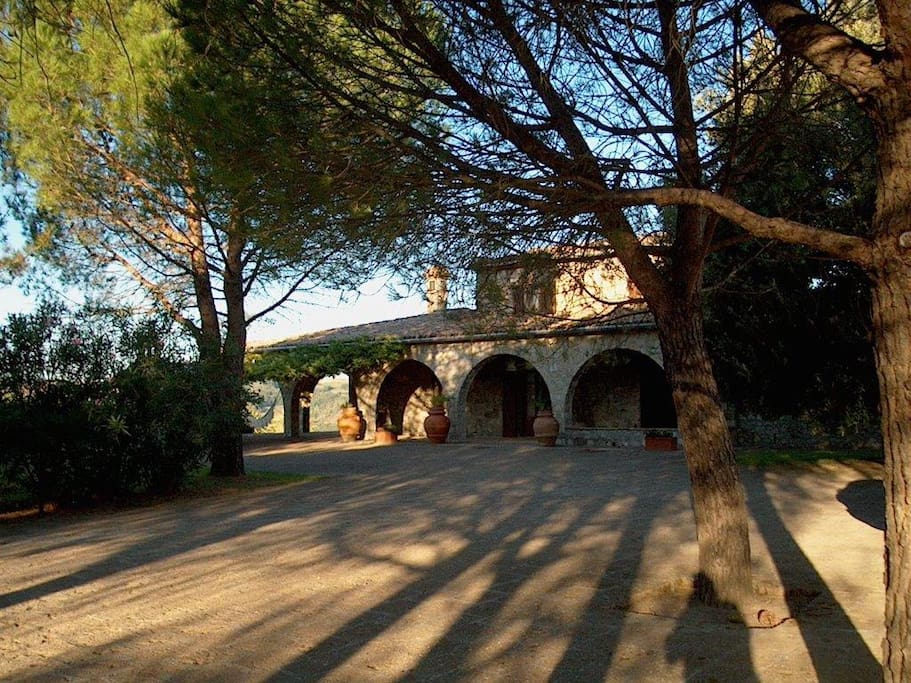 Ingresso