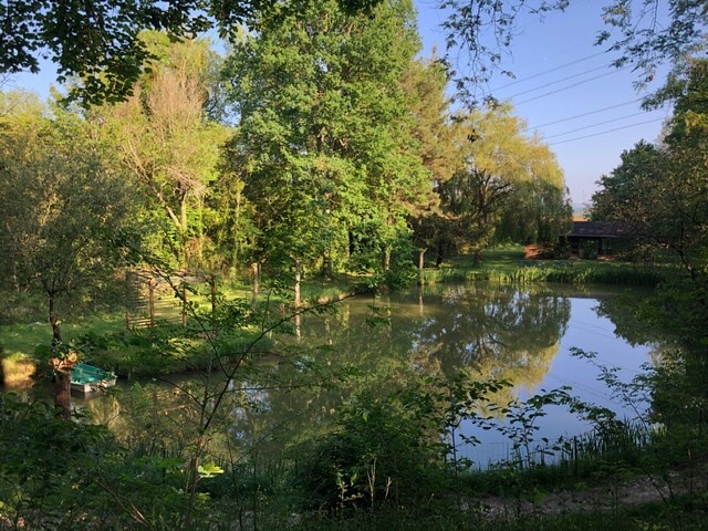 A serene pond is surrounded by lush green trees and foliage. The water reflects the greenery and clear blue sky, creating a tranquil atmosphere. A small boat is visible on the shore, adding to the peaceful charm of the natural setting.