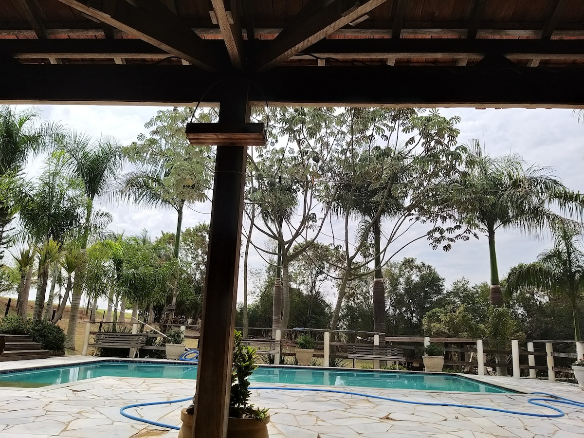 A swimming pool is visible, surrounded by a stone patio. Lush greenery is present in the background, featuring tall palm trees and diverse foliage. The scene is framed by a wooden structure, providing a shaded area that enhances the peaceful outdoor setting.