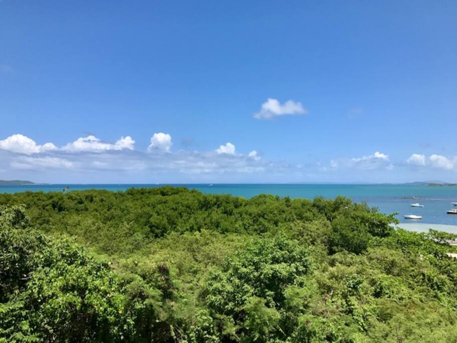 Breathtaking Views of the Caribbean Sea & Nature Reserve's Mangrove Forests below from Romantic Private Balcony
