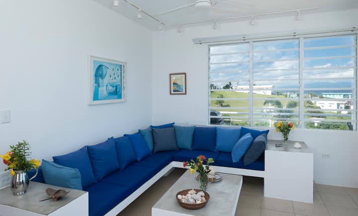 2br Penthouse/panoramic Ocean View/pool/walk2beach - ビエケス