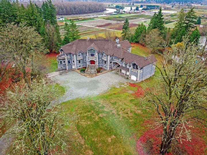 20,000+sq ft Luxury Castle on 5+ acres Castles for Rent in Arlington