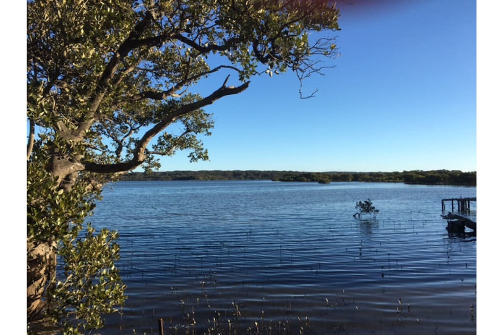 Curley's Bay