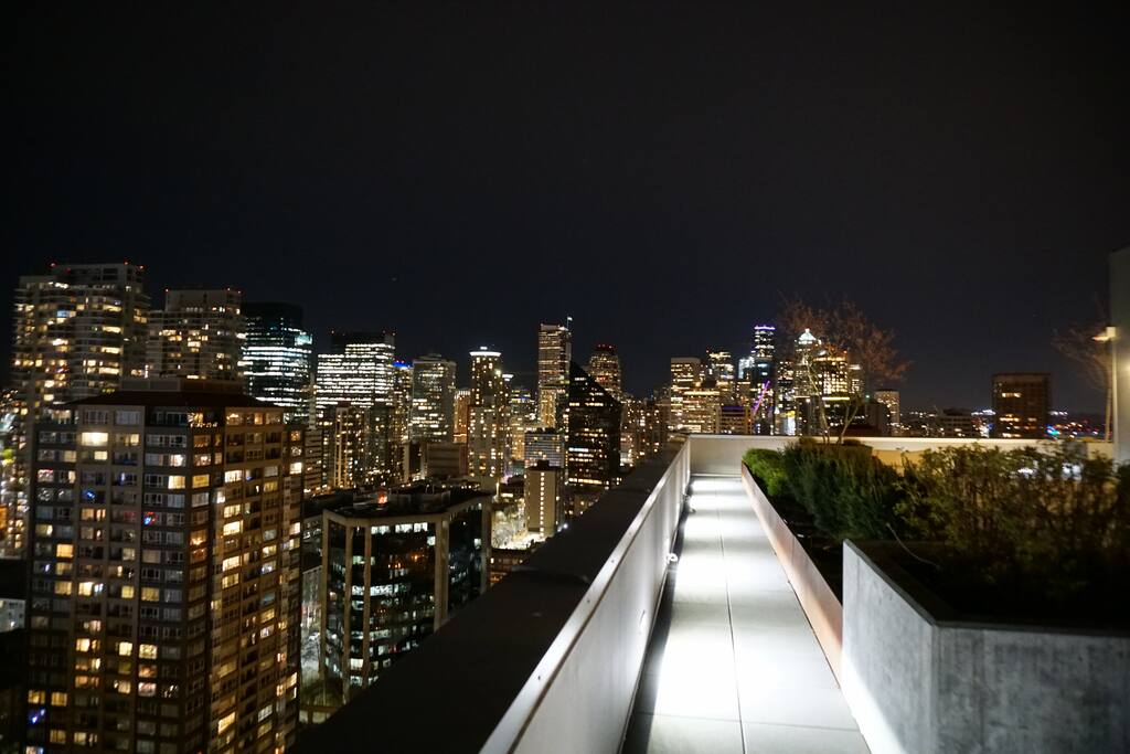 View of downtown from my rooftop!