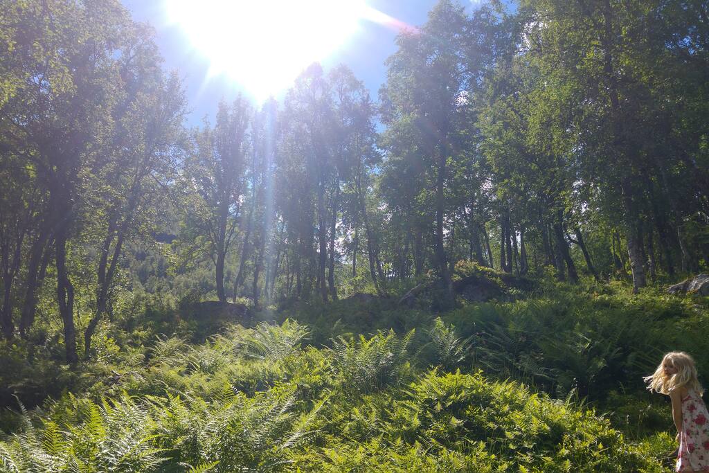 Walking up to the cabin.
