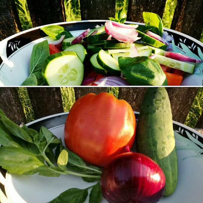 Summer farm organic products
