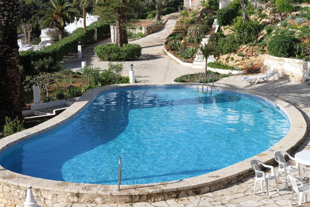 Top Pool