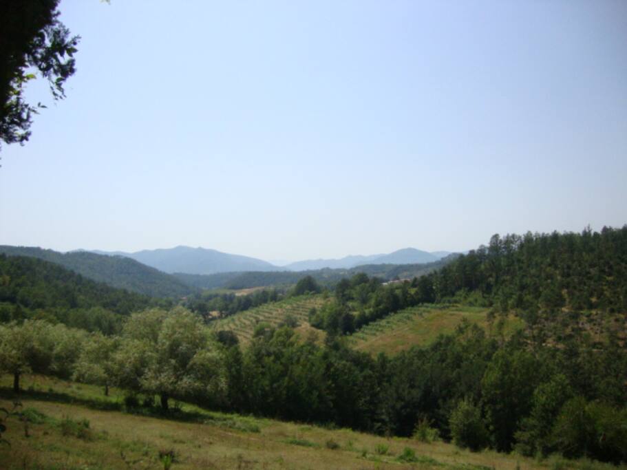 Paesaggi della zona