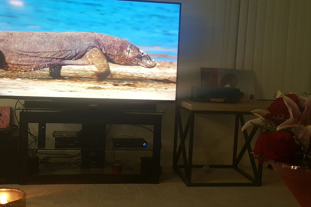 Complete Entertainment System