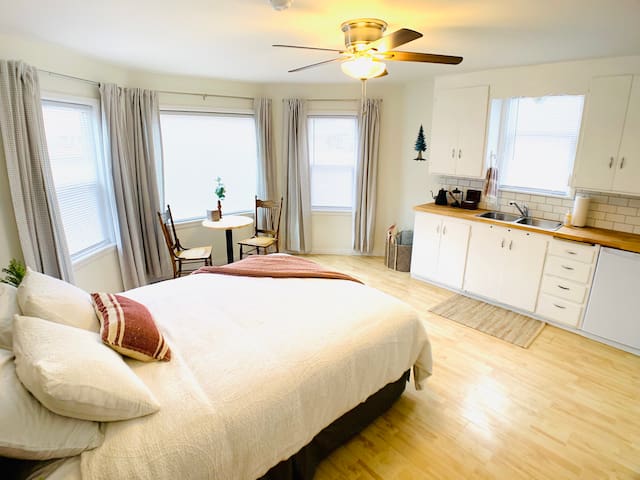 Bright Downtown Studio Apt, Walkable! (Apt 1)