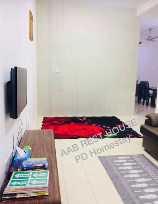 Hall with TV and Sofa