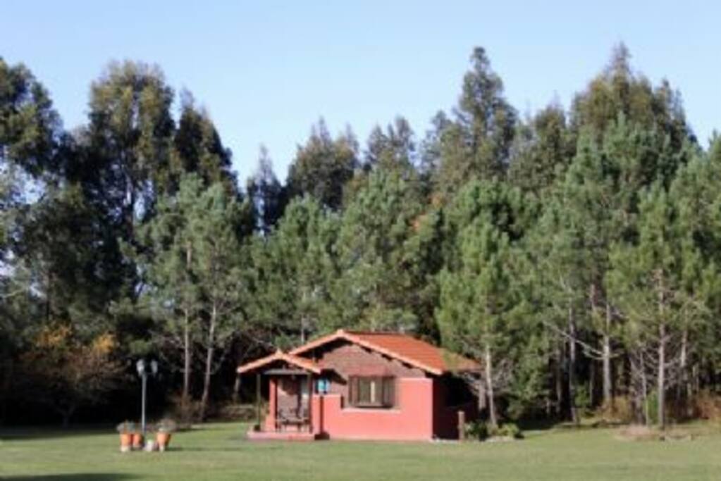 Vista Cabaña y entorno