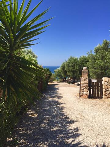 VILLA TITTI gallery image 4