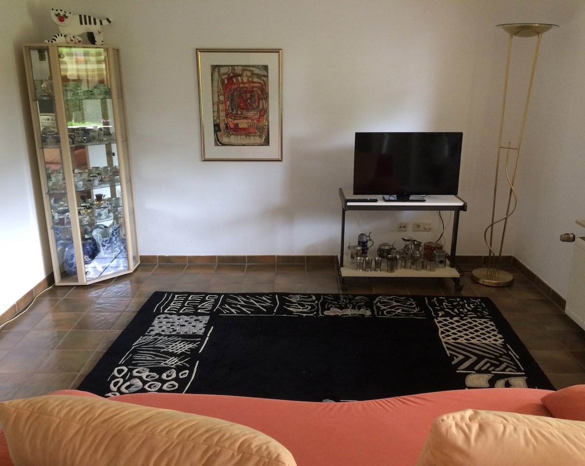 The living area features a stylish black rug with white patterns, complementing the light-colored sofa. A sleek television stands on a modest white table, while a display cabinet showcases decorative items. Natural light filters in, creating a comfortable and inviting space.