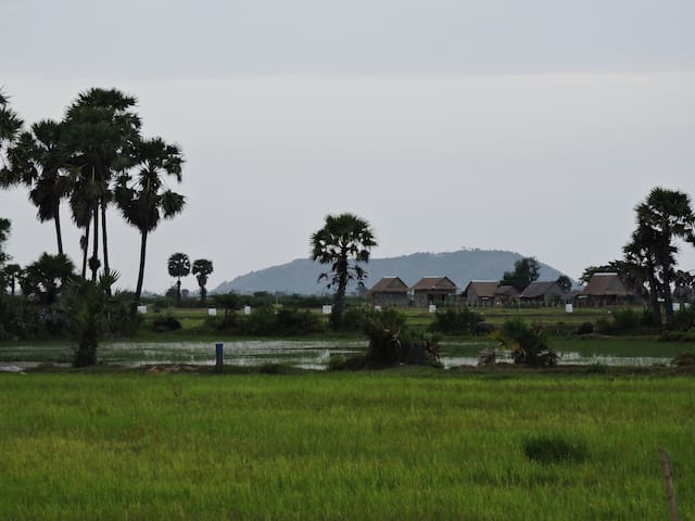 Real Homestay(Free pick up and meals)