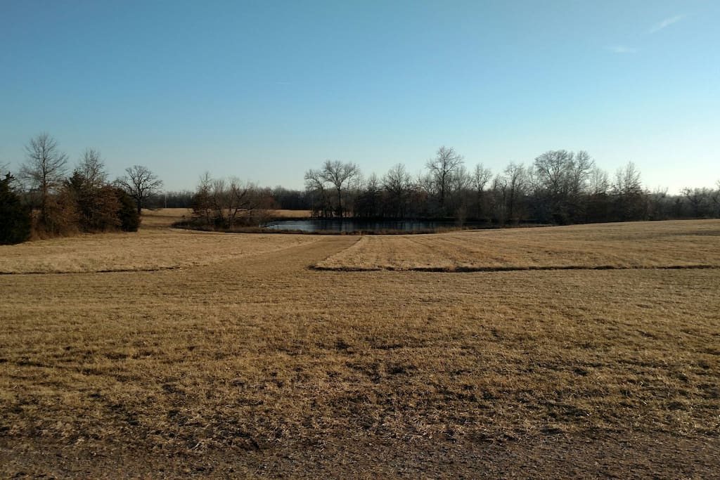 A view of the pond