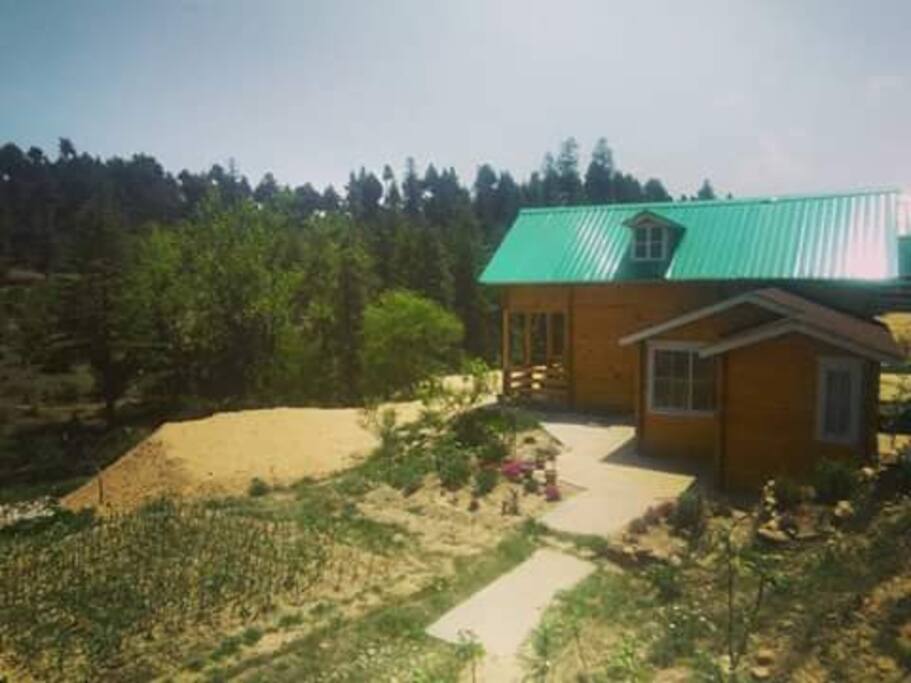 Property during summer