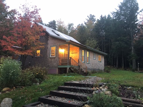 At the edge of the woods near the sea