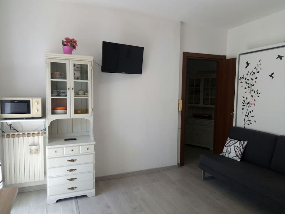 Bedroom with kitchenette and hiding bed