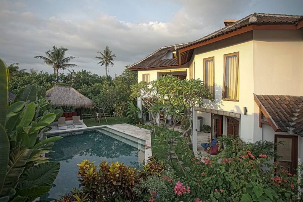 Pool and garden