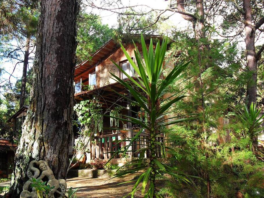 Un espacio construido de manera ecológica que incorpora detalles en madera adobe barro y piedra.