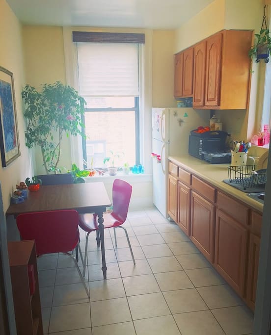 Sunny, Eat-In Kitchen, Dishes, Utensils, Stove, and Oven are Available.