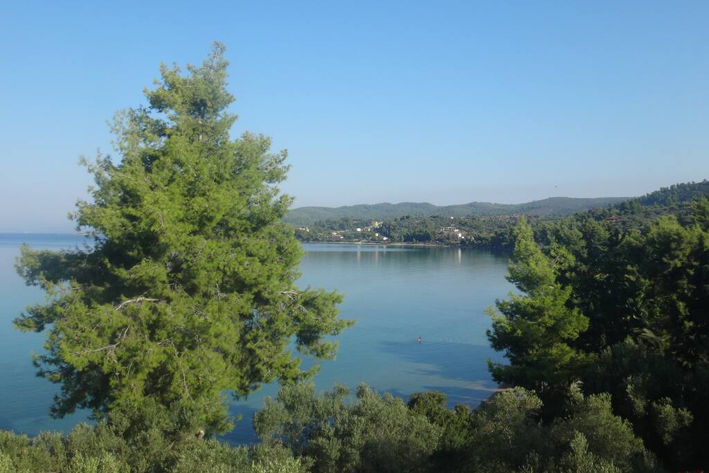 Morning view from the balcony