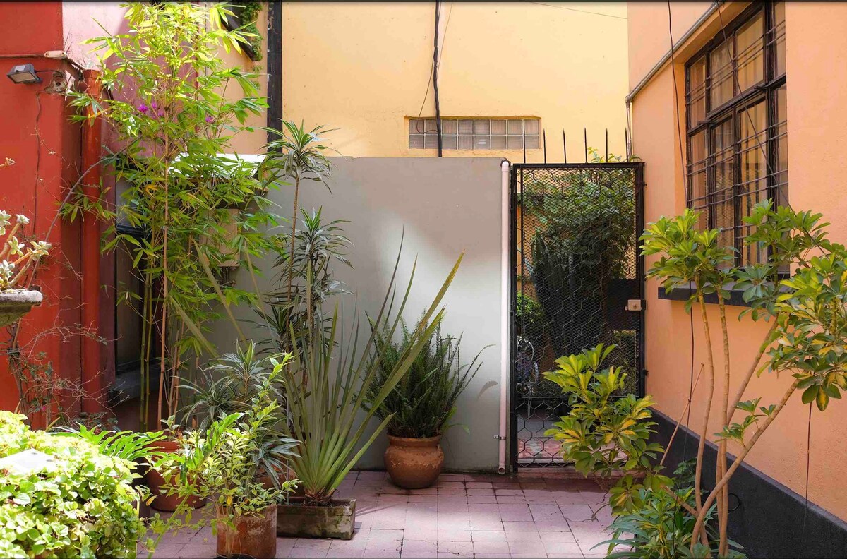 A small courtyard features a mix of greenery, including potted plants and tall, leafy shrubs. A gray wall provides privacy, while a gate leads to additional outdoor space. The ground is covered with light-colored tiles, creating a calm and inviting atmosphere.