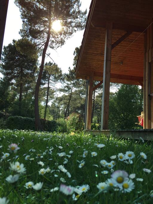 Jardin