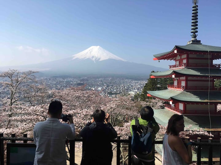 MY favorite room is  the view of Fuji and sukura