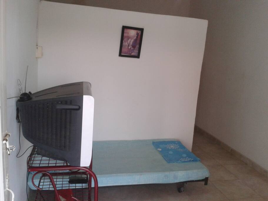 tv- sala